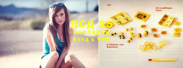 ГАЛЛЮЦИНОГЕННЫЕ ГРИБЫ Алзамай